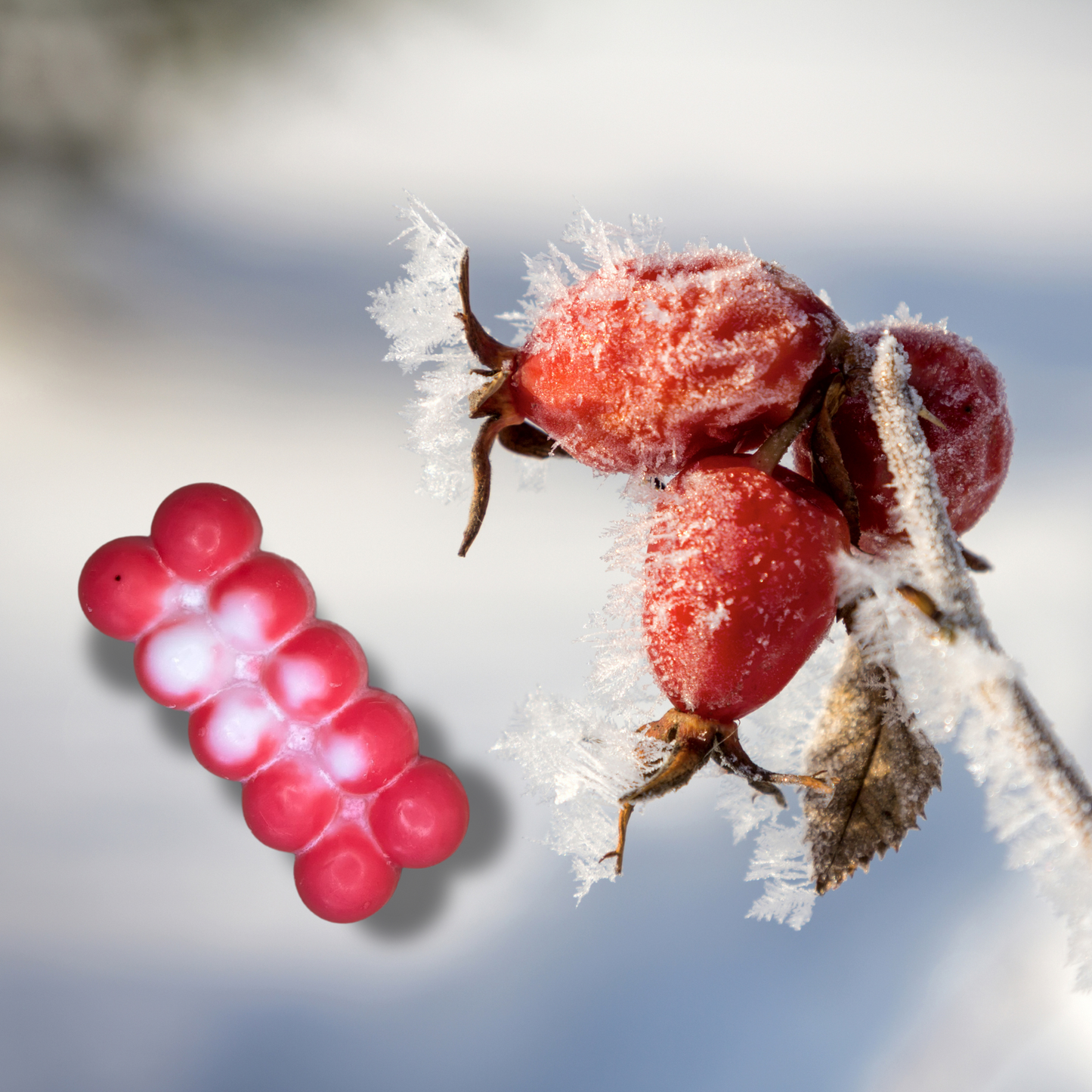 A Christmas Glow - Forest Berry Fusion - Wax Melts