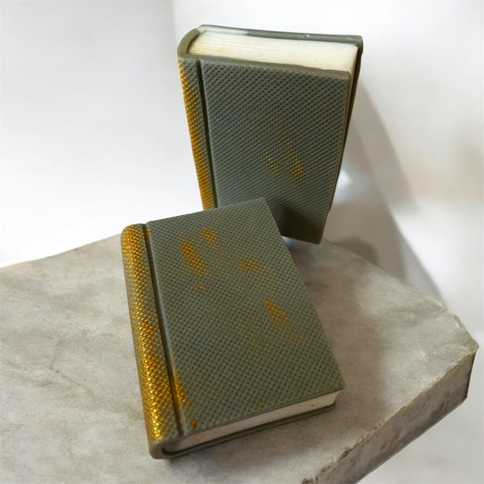 Literary Collection - Tropical Beach - Book Bar Soap