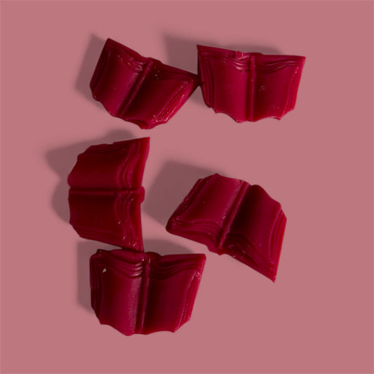 "Lit"-erary Collection - Robinson Crusoe Wax Melts