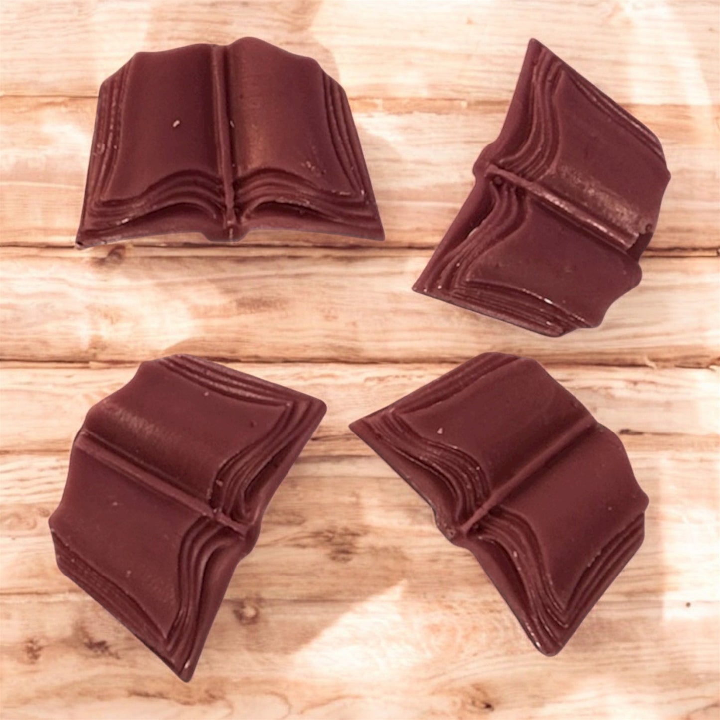 "Lit"-erary Collection - Leather Bound Wax Melts